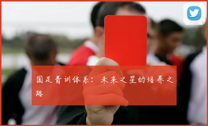 国足青训体系:未来之星的培养之路