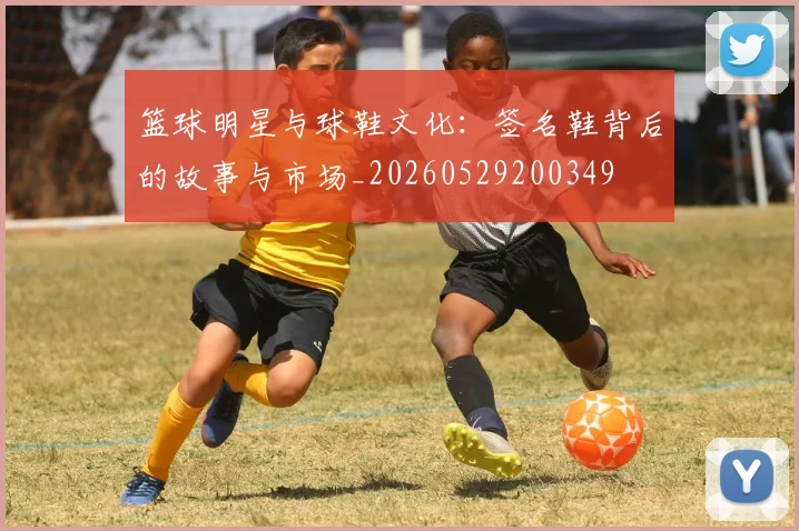 篮球明星与球鞋文化:签名鞋背后的故事与市场_20260529200349