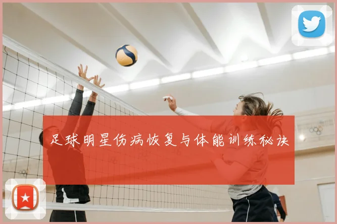 足球明星伤病恢复与体能训练秘诀