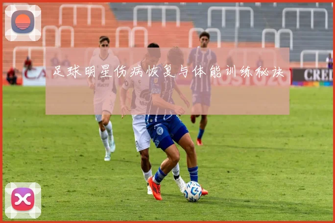 足球明星伤病恢复与体能训练秘诀